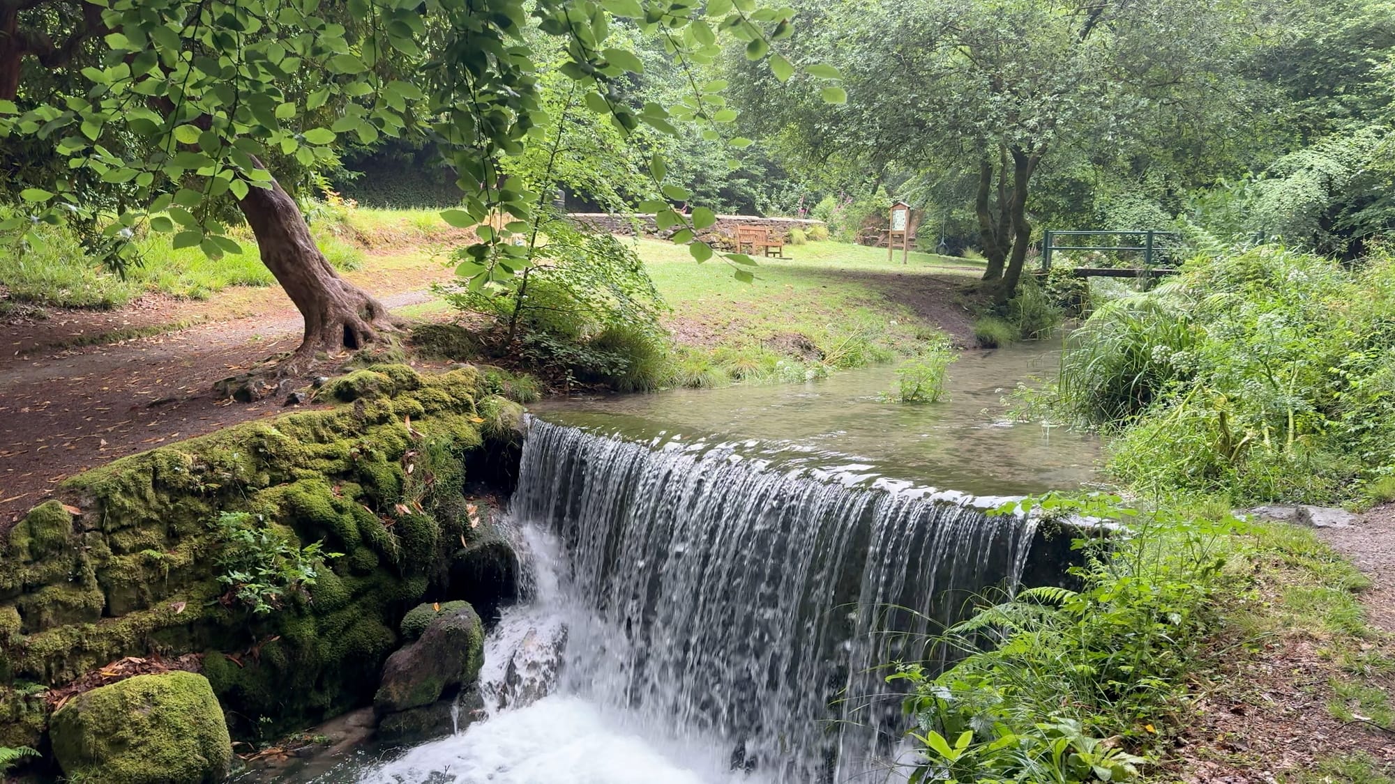 Luxulyan Valley & Carlyon Bay