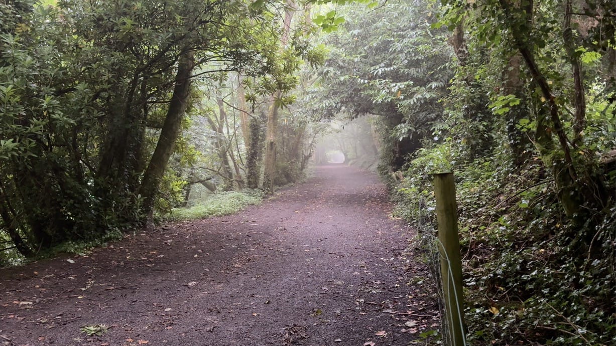 Luxulyan Valley & Carlyon Bay