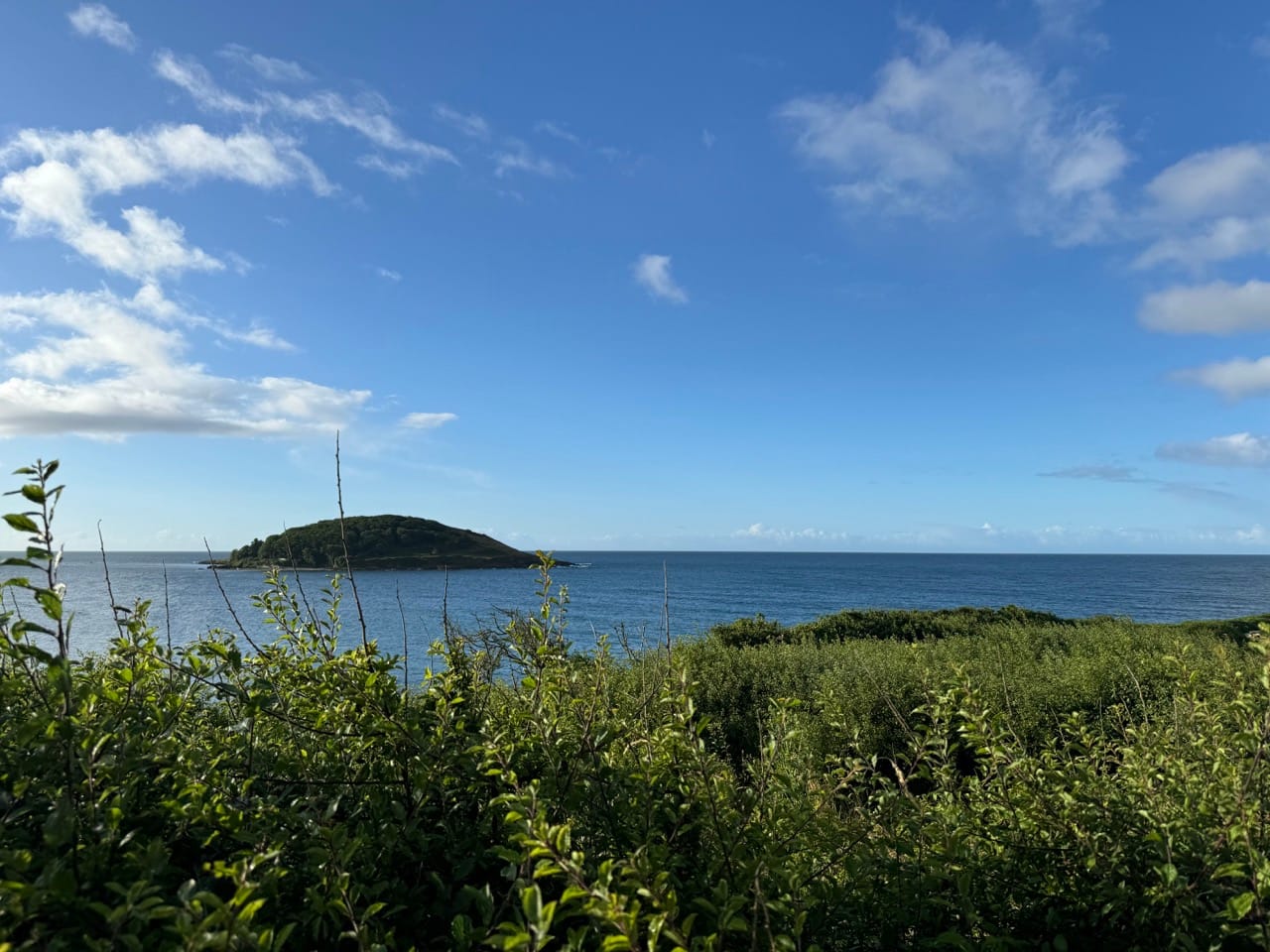 South West Coast Path: Looe - St Austell